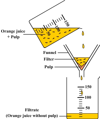 Filtration of an orange juice and its pulp Filtration of an orange juice and its pulp