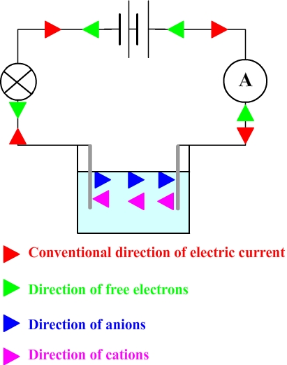 motion of anions and cations in a solution