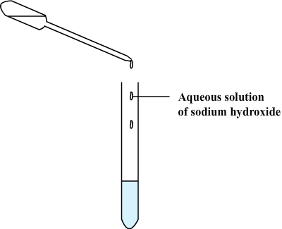 test for ions: copper ion