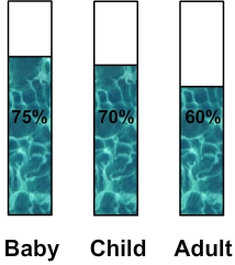 Percentage Of Water In Human Body Chart